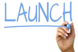 Launch The Business