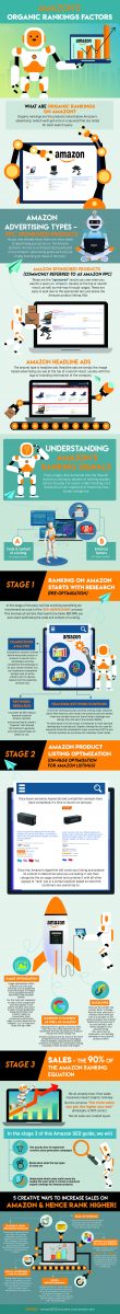 Amazon SEO Infographic